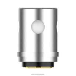 Vaporesso EUC bobines (5 pièces) | Vaporesso Suisse euc maillé 0,6ohm 24F60371